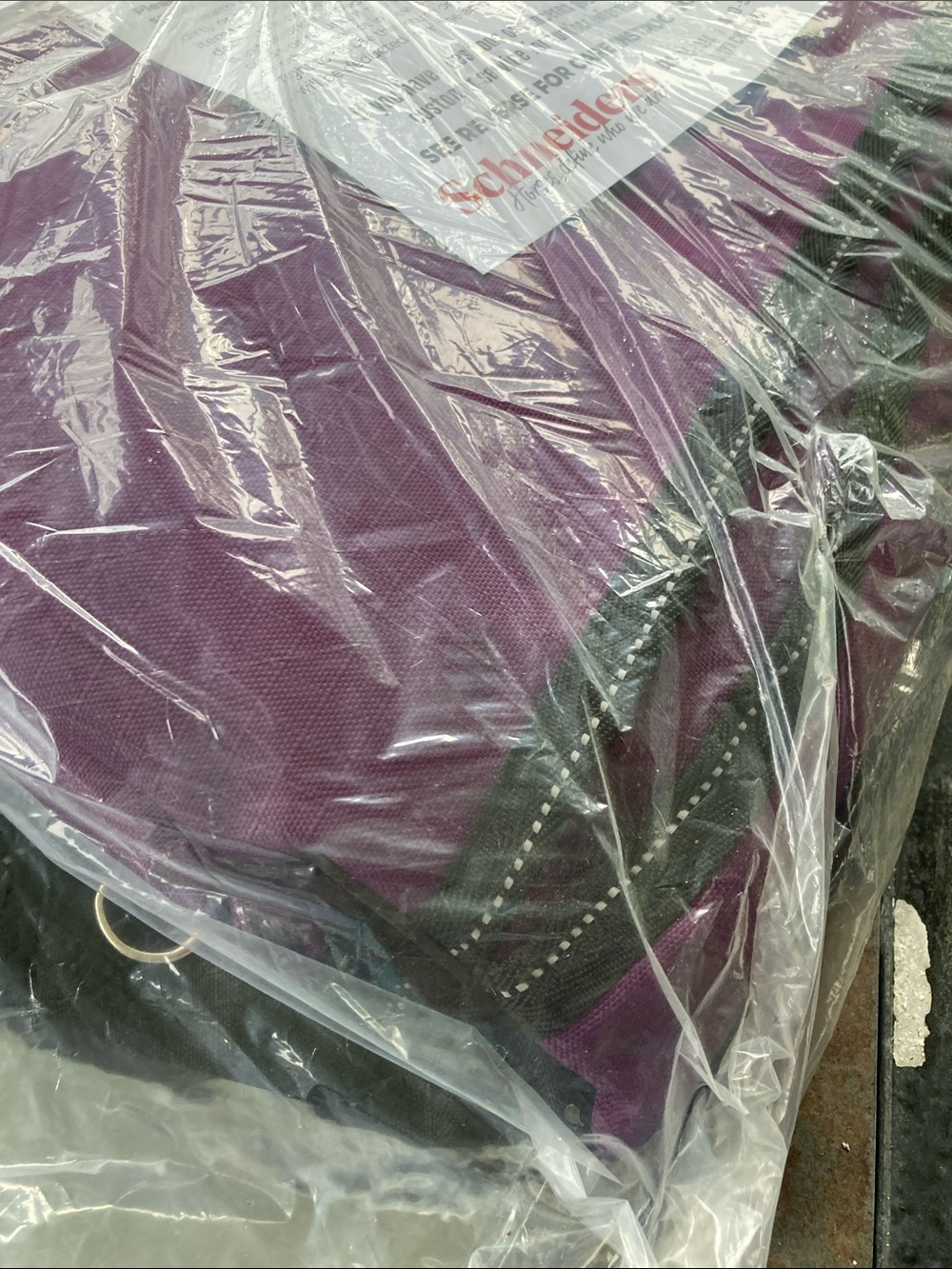 Schneider Purple Pony Turnout 68
